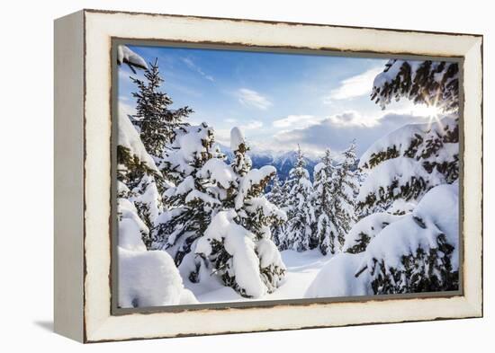 Sunbeam in the Snowy Woods Framed by the Winter Sunset, Bettmeralp, District of Raron-Roberto Moiola-Framed Premier Image Canvas