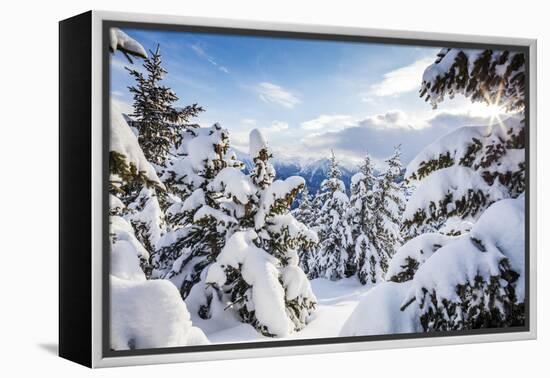 Sunbeam in the Snowy Woods Framed by the Winter Sunset, Bettmeralp, District of Raron-Roberto Moiola-Framed Premier Image Canvas