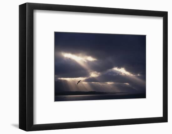 Sunbeams and Clouds over Water-DLILLC-Framed Photographic Print