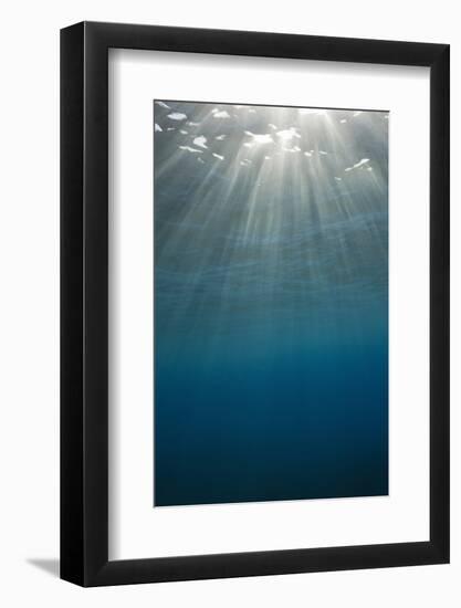 Sunbeams Filtering through the Ocean Surface-Reinhard Dirscherl-Framed Photographic Print