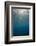 Sunbeams Filtering through the Ocean Surface-Reinhard Dirscherl-Framed Photographic Print