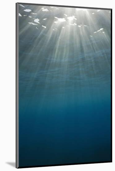 Sunbeams Filtering through the Ocean Surface-Reinhard Dirscherl-Mounted Photographic Print