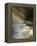 Sunbeams on Tahquamenon Falls, Upper Peninsula, Michigan, USA-Don Grall-Framed Premier Image Canvas
