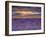 Sunbeams over Lavender-Michael Blanchette Photography-Framed Photographic Print