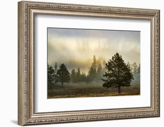 Sunbeams over trees, Midway Geyser Basin, Yellowstone National Park, Wyoming-Adam Jones-Framed Photographic Print