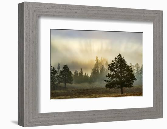 Sunbeams over trees, Midway Geyser Basin, Yellowstone National Park, Wyoming-Adam Jones-Framed Photographic Print