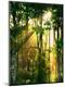 Premium Photographic Print