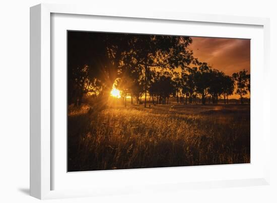 Sunburst 1065-Pixie Pics-Framed Giclee Print