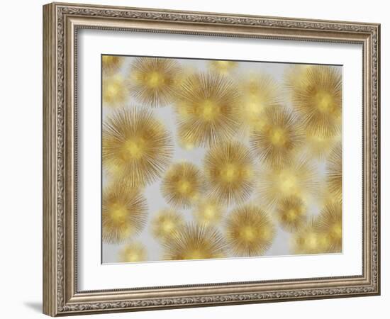 Sunburst Cluster-Abby Young-Framed Art Print