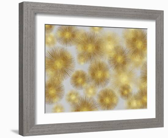 Sunburst Cluster-Abby Young-Framed Art Print