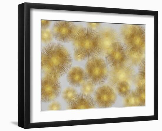 Sunburst Cluster-Abby Young-Framed Art Print