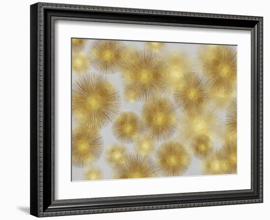 Sunburst Cluster-Abby Young-Framed Art Print