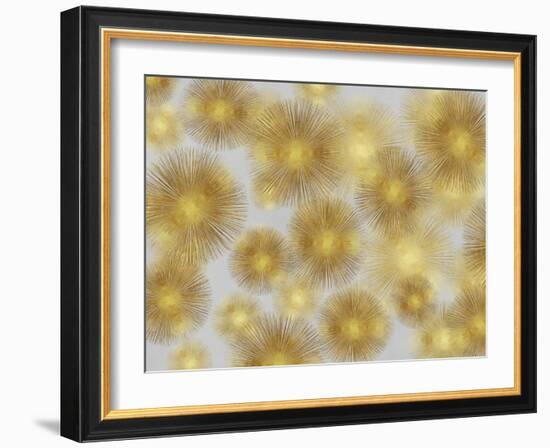 Sunburst Cluster-Abby Young-Framed Art Print