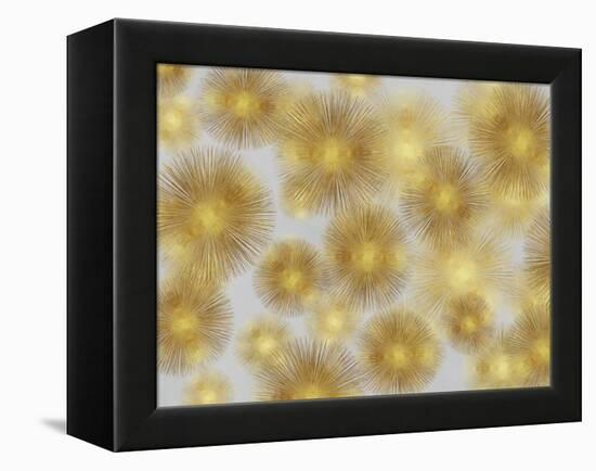 Sunburst Cluster-Abby Young-Framed Stretched Canvas