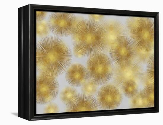 Sunburst Cluster-Abby Young-Framed Stretched Canvas