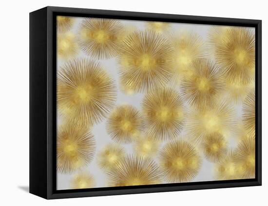 Sunburst Cluster-Abby Young-Framed Stretched Canvas