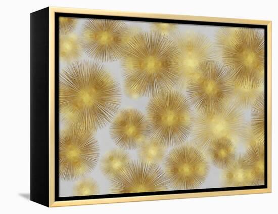 Sunburst Cluster-Abby Young-Framed Stretched Canvas