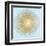 Sunburst Gold on Light Blue I-Abby Young-Framed Art Print