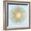 Sunburst Gold on Light Blue I-Abby Young-Framed Art Print