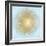 Sunburst Gold on Light Blue I-Abby Young-Framed Art Print