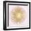 Sunburst Gold on Pink Blush I-Abby Young-Framed Art Print