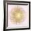 Sunburst Gold on Pink Blush I-Abby Young-Framed Art Print