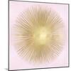 Sunburst Gold on Pink Blush I-Abby Young-Mounted Art Print