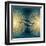 Sunburst Gold on Teal II-Abby Young-Framed Art Print