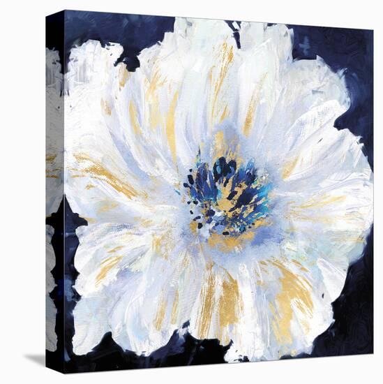 Sunburst Harmony-Tania Bello-Framed Stretched Canvas