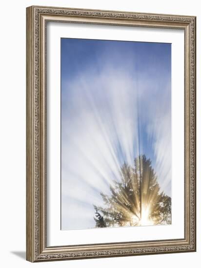 Sunburst I-Kathy Mahan-Framed Photographic Print