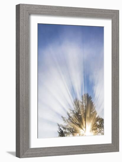 Sunburst I-Kathy Mahan-Framed Photographic Print