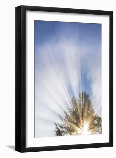 Sunburst I-Kathy Mahan-Framed Photographic Print