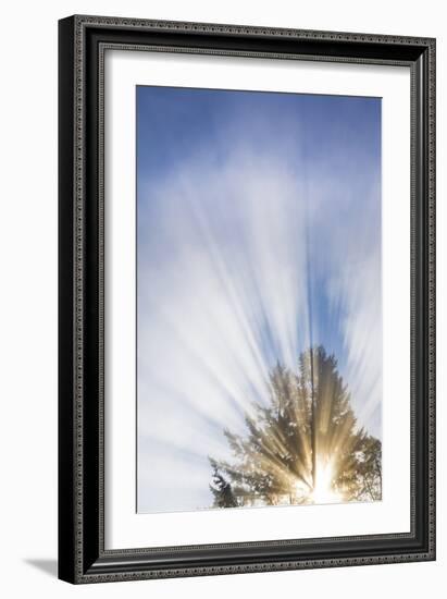 Sunburst I-Kathy Mahan-Framed Photographic Print