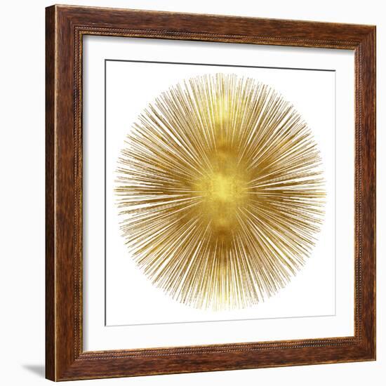 Sunburst I-Abby Young-Framed Art Print