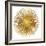 Sunburst I-Abby Young-Framed Art Print