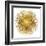 Sunburst I-Abby Young-Framed Art Print