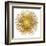 Sunburst I-Abby Young-Framed Art Print