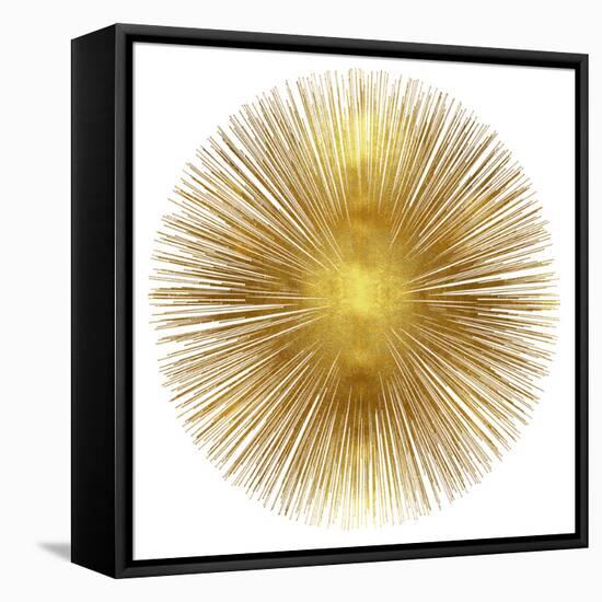 Sunburst I-Abby Young-Framed Stretched Canvas