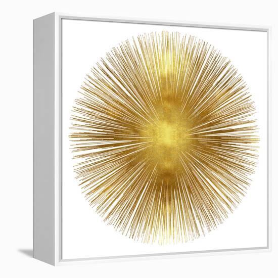 Sunburst I-Abby Young-Framed Stretched Canvas