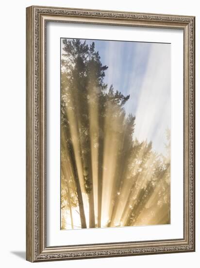 Sunburst II-Kathy Mahan-Framed Photographic Print