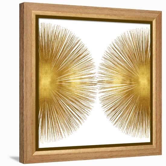 Sunburst II-Abby Young-Framed Stretched Canvas