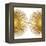 Sunburst II-Abby Young-Framed Stretched Canvas