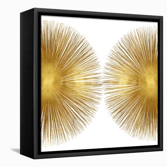 Sunburst II-Abby Young-Framed Stretched Canvas