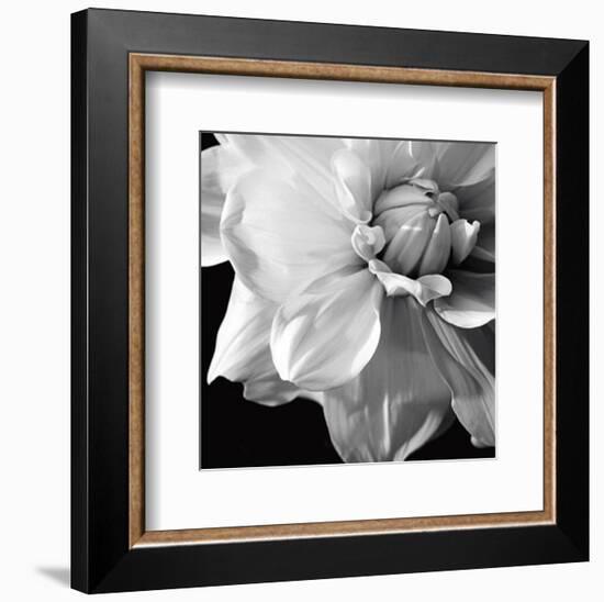 Sunburst III-Boyce Watt-Framed Art Print