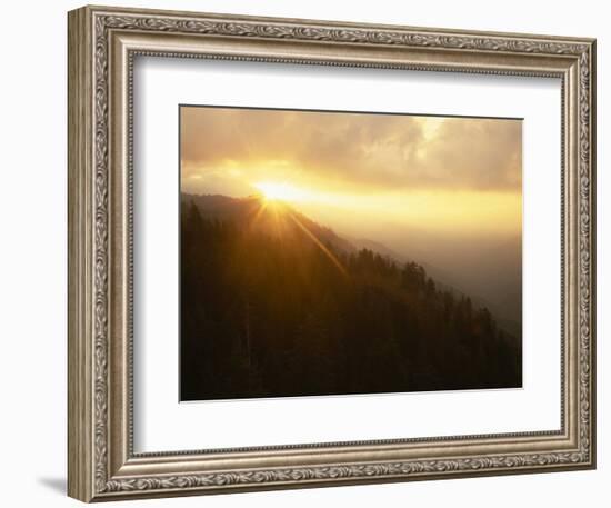 Sunburst in Mt. Rainier National Park, Washington, USA-Jerry Ginsberg-Framed Photographic Print