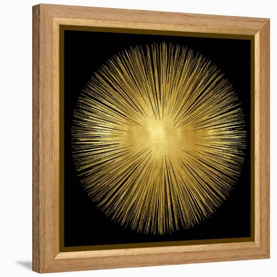 Sunburst on Black I-Abby Young-Framed Stretched Canvas