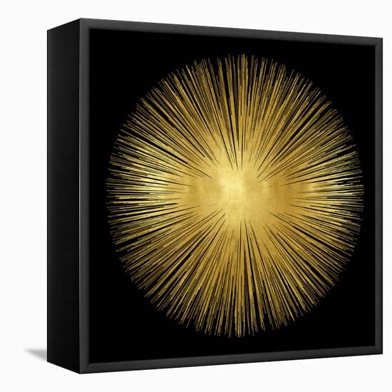 Sunburst on Black I-Abby Young-Framed Stretched Canvas