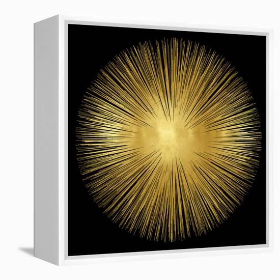 Sunburst on Black I-Abby Young-Framed Stretched Canvas