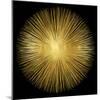 Sunburst on Black I-Abby Young-Mounted Art Print