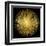 Sunburst on Black I-Abby Young-Framed Art Print